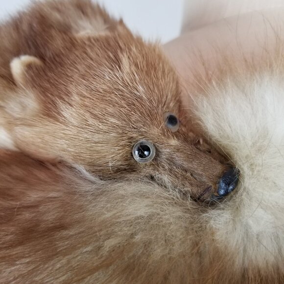 Vintage 1930's Full Mink Fur 3 Pelt Stole Scarf with Heads, Tails & Feet - Picture 11 of 12